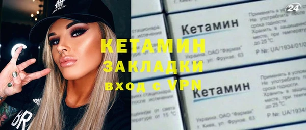 стаф Алзамай