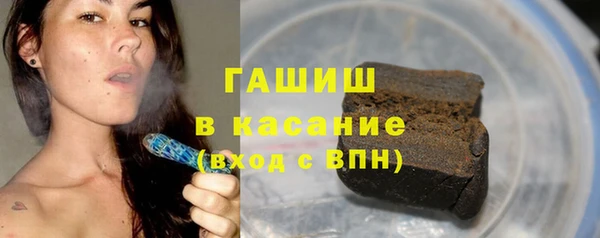 стаф Алзамай