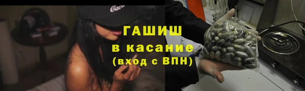 стаф Алзамай