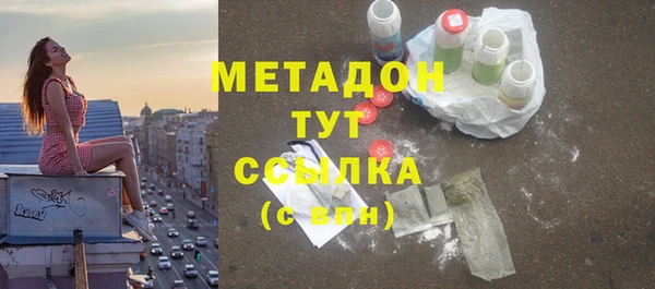 стаф Алзамай