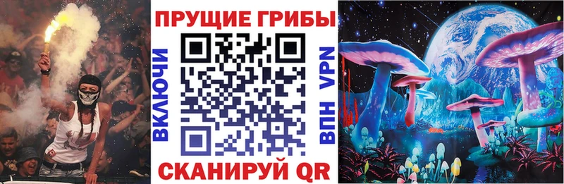 Псилоцибиновые грибы GOLDEN TEACHER  МЕГА онион  даркнет формула  Чудово 
